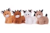 Natural Coloured Cows 4 Asstorted