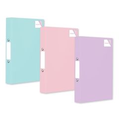 Ringbinder Assorted Colours PTRB