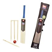 Size 5 Cricket Set with mesh bag