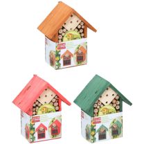 insect hotel 