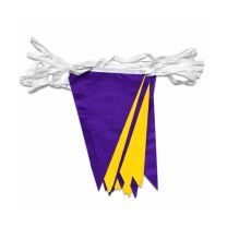 Purple & Yellow Bunting SMBPG10M
