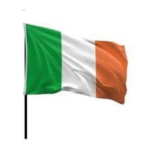 798962 Ireland supporters flag 3ft x 2ft with pole